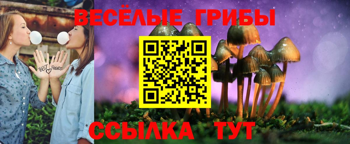 Галлюциногенные грибы Magic Shrooms  Вход с VPN  Воронеж  Галлюциногенные грибы GOLDEN TEACHER 