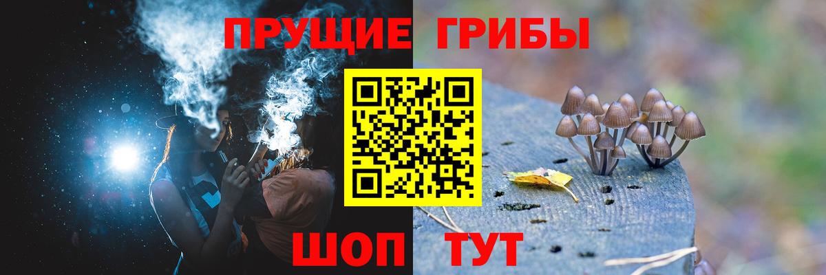 Галлюциногенные грибы Magic Shrooms Воронеж