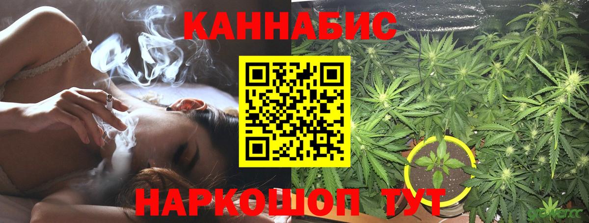 Каннабис ГИДРОПОН  Конопля конопля  Воронеж  Вход с VPN 